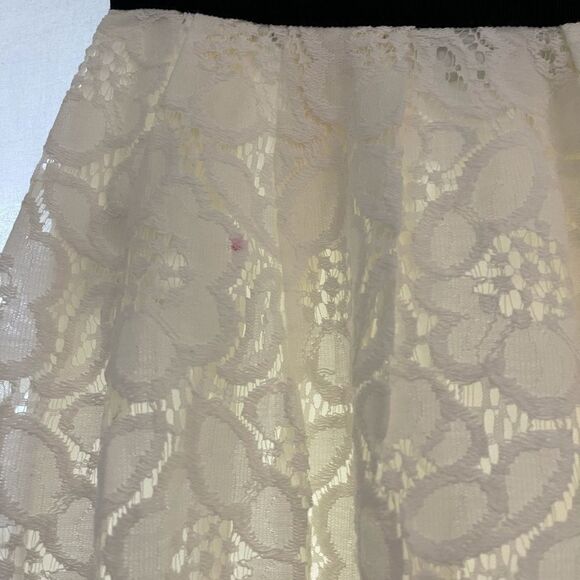 Loft lace skirt - Picture 14 of 14